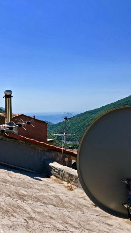 La Dolce Vita Teriasca Luaran gambar